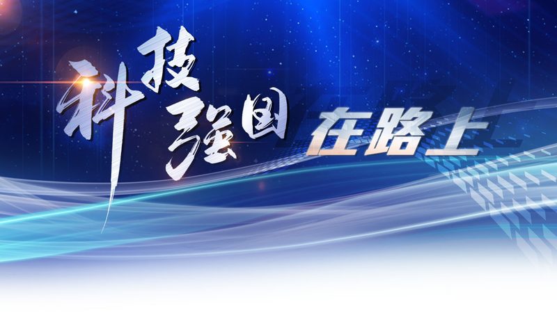 数据仓库报表开发的优劣解析：深度洞察与实用建议
